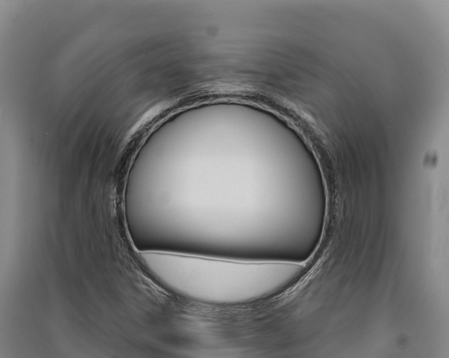 X0000091561306200708171053