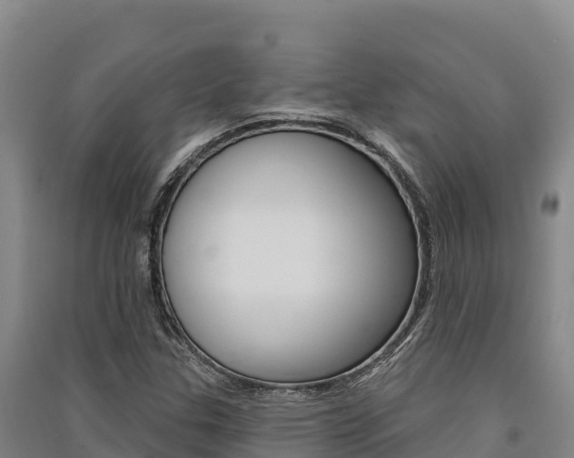 X0000091561307200708171053