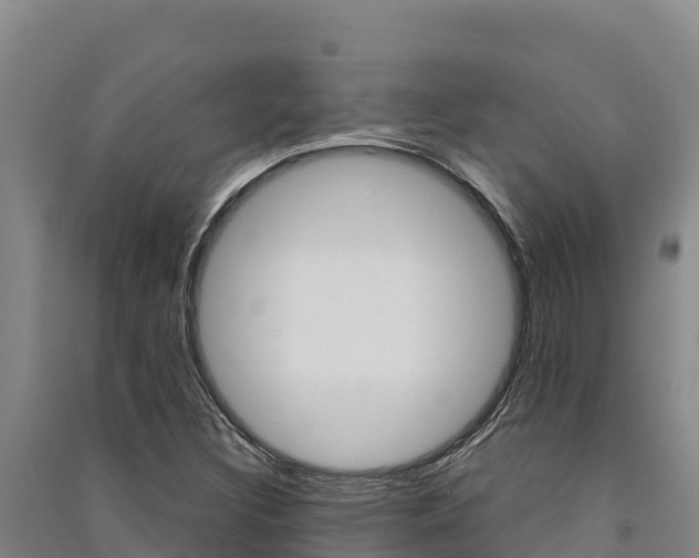 X0000091561308200708171053