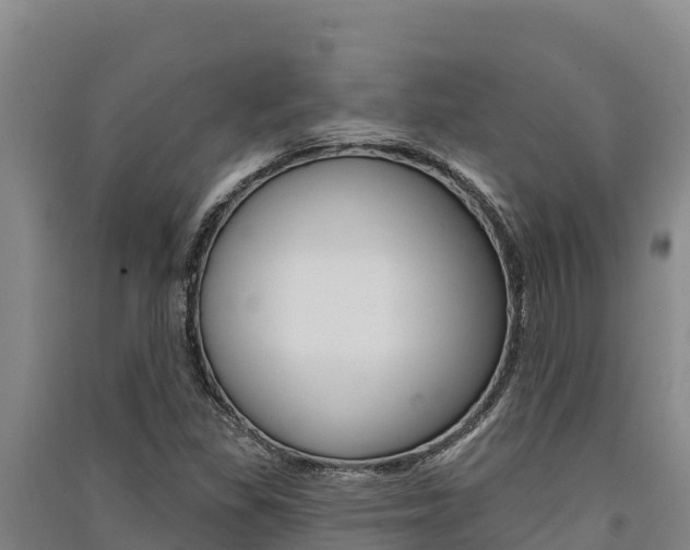 X0000091561309200708171053