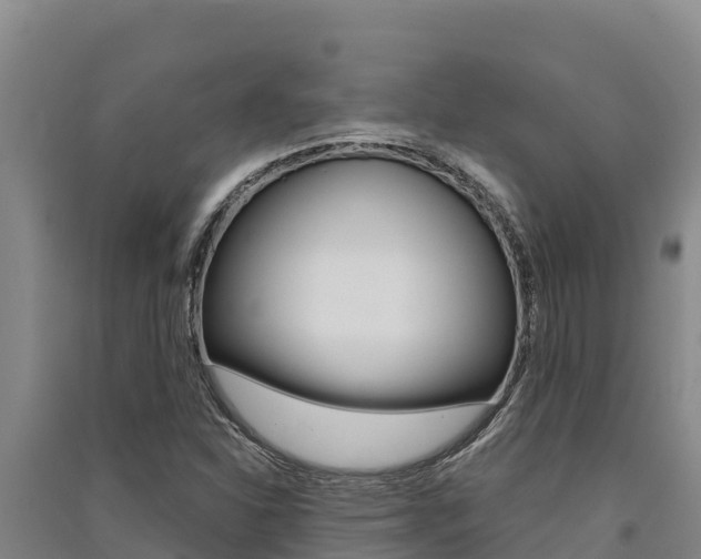 X0000091561310200708171053
