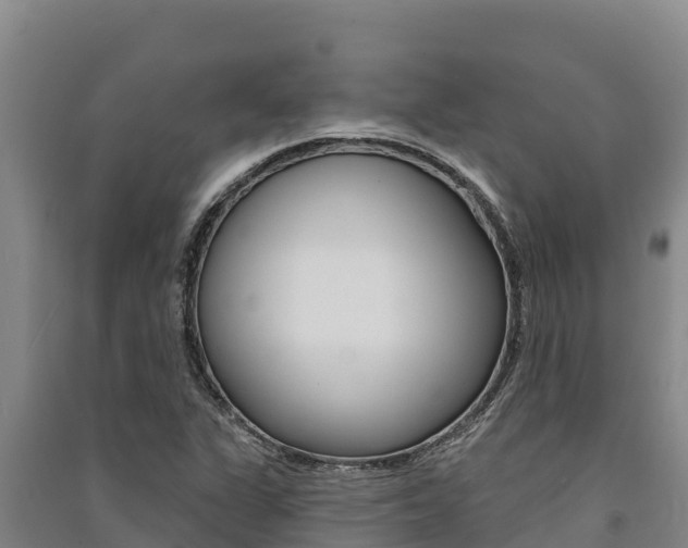 X0000091561311200708171053