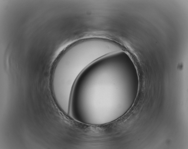 X0000091561312200708171053