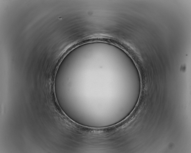 X0000091561313200708171053