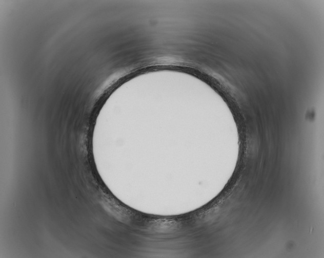 X0000091561314200708171053