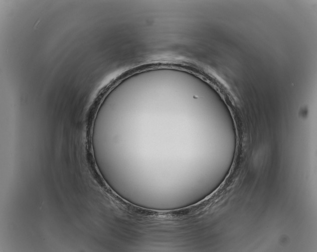 X0000091561315200708171053