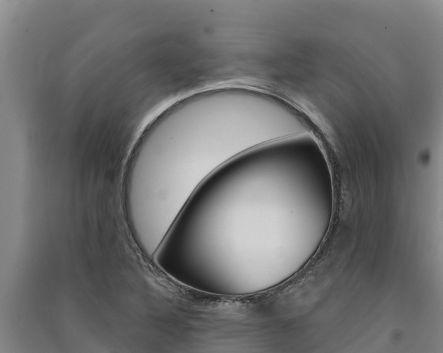 X0000091561316200708171053