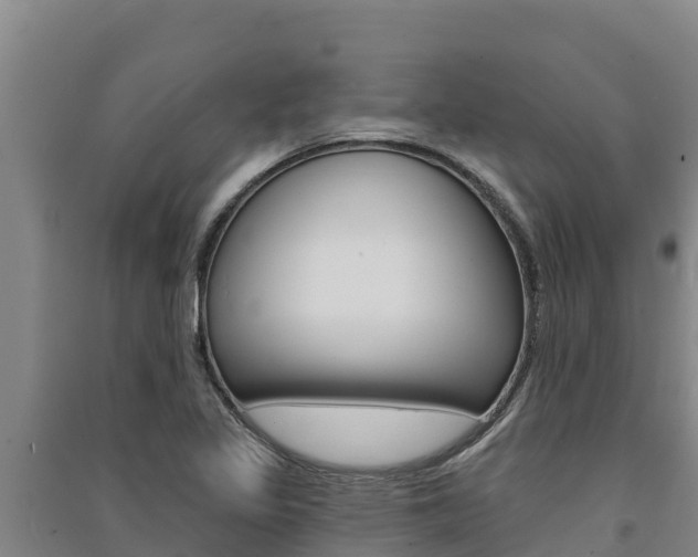 X0000091561317200708171053