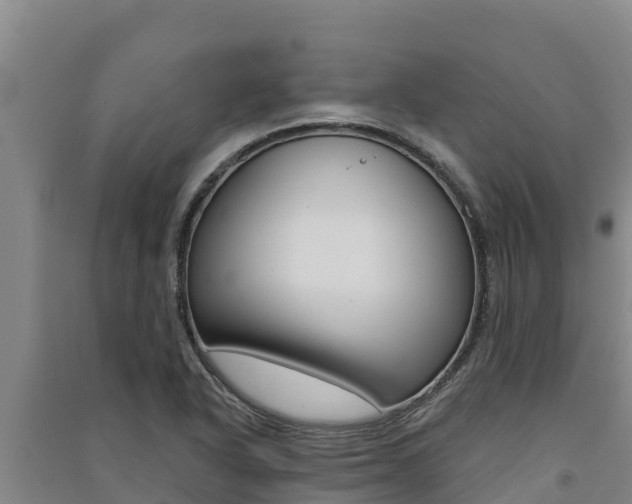 X0000091561318200708171053