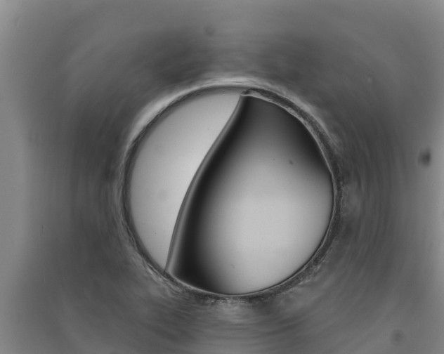 X0000091561319200708171053