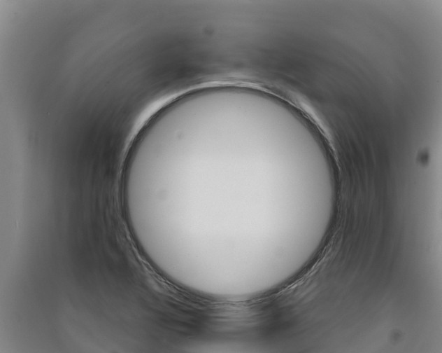 X0000091561320200708171053