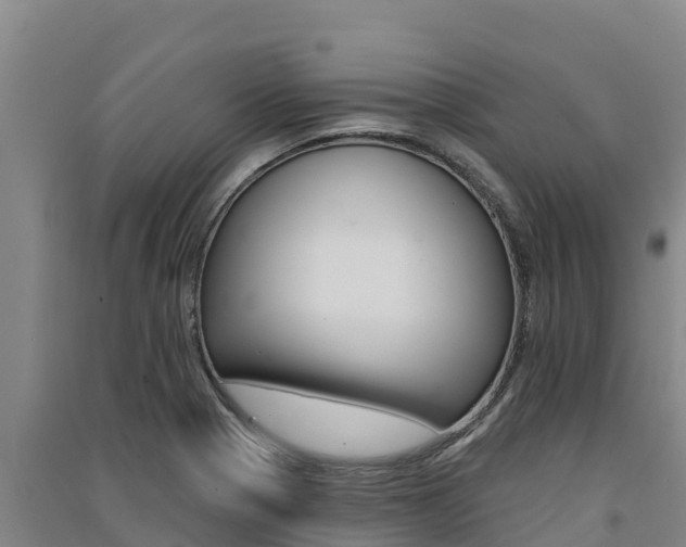 X0000091561321200708171053