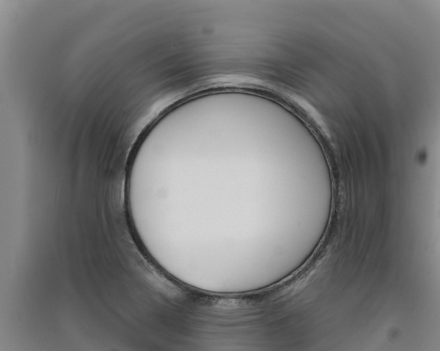 X0000091561322200708171053