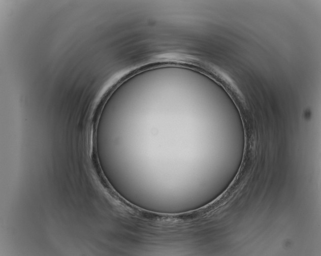 X0000091561323200708171053