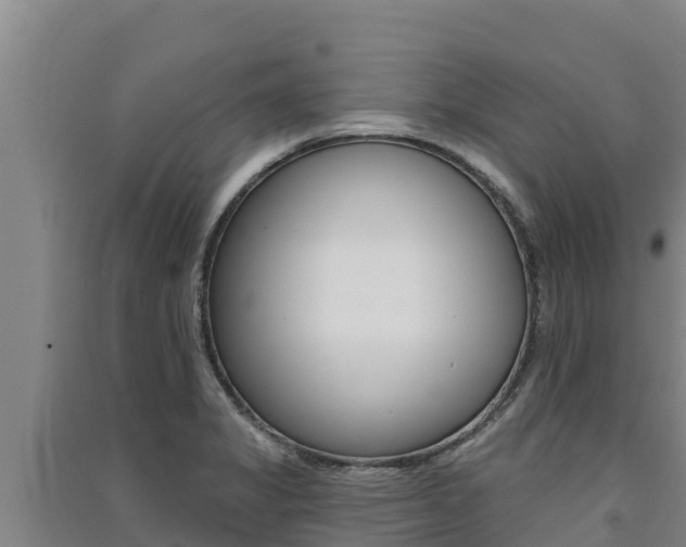 X0000091561325200708171053