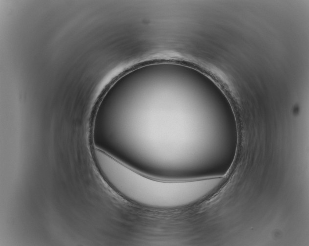 X0000091561326200708171053