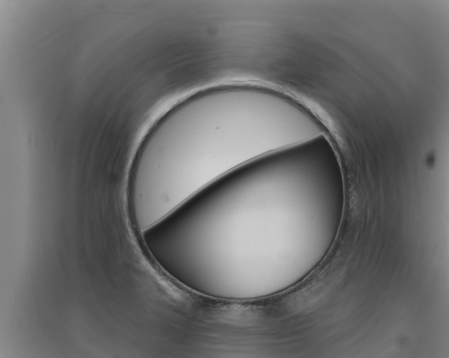 X0000091561327200708171053