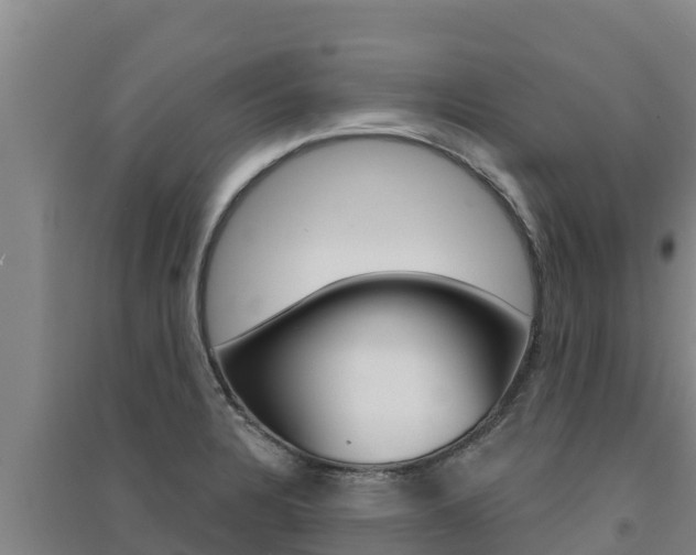 X0000091561328200708171053