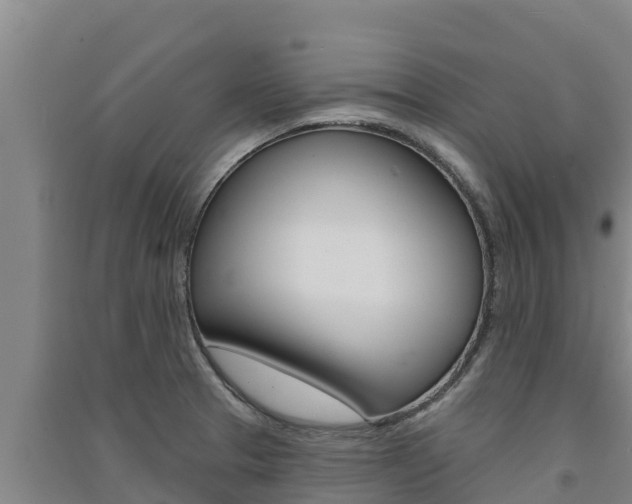 X0000091561329200708171053