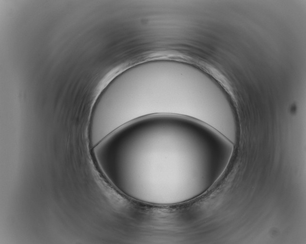 X0000091561330200708171053