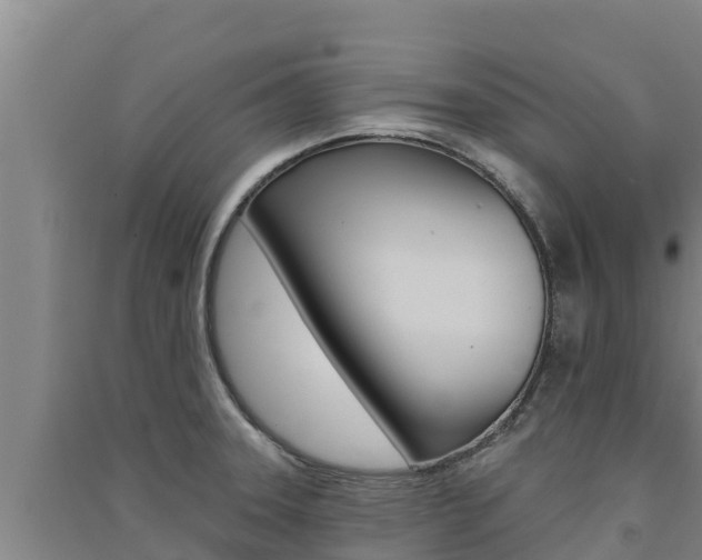 X0000091561331200708171053