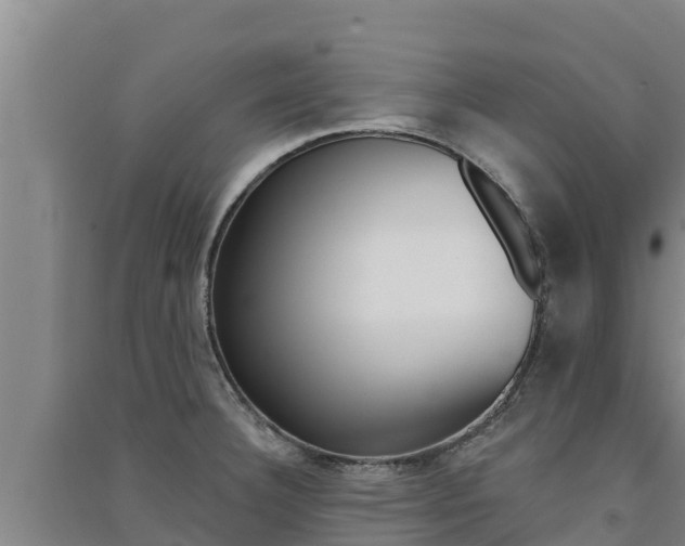 X0000091561332200708171053