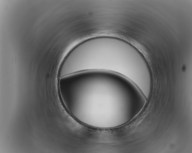 X0000091561334200708171053
