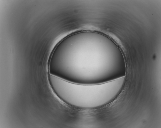 X0000091561335200708171053