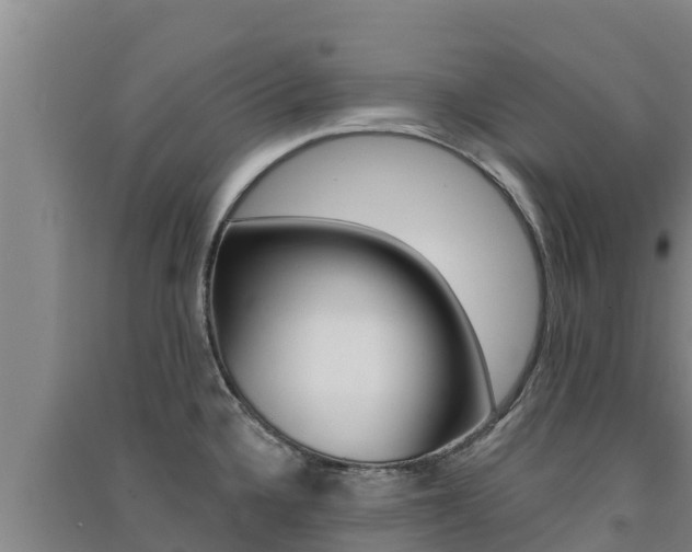 X0000091561336200708171053