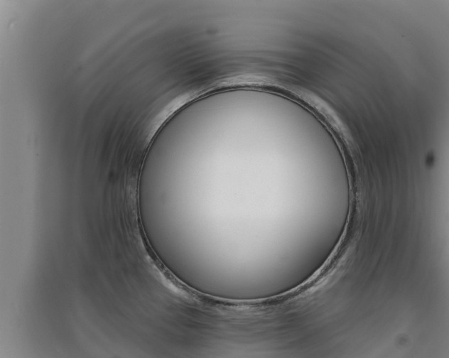 X0000091561337200708171053