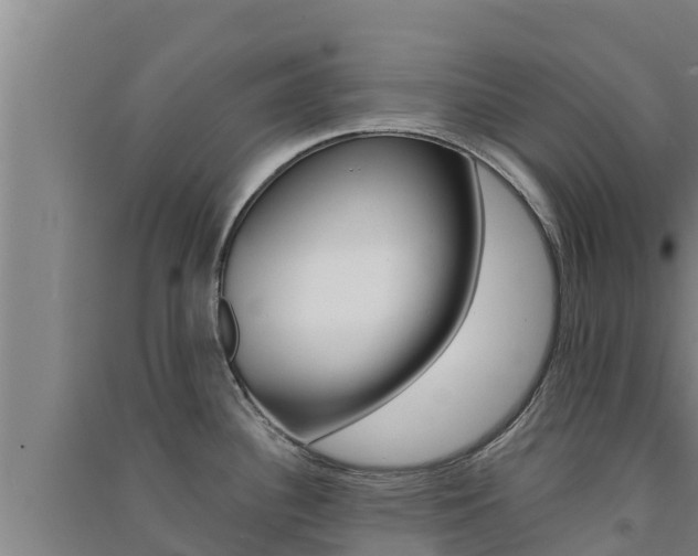 X0000091561340200708171053