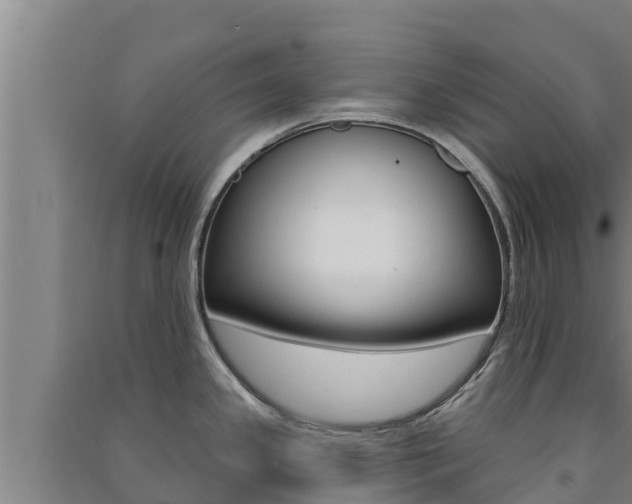 X0000091561341200708171053