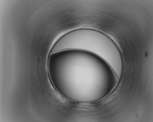 X0000091561342200708171053