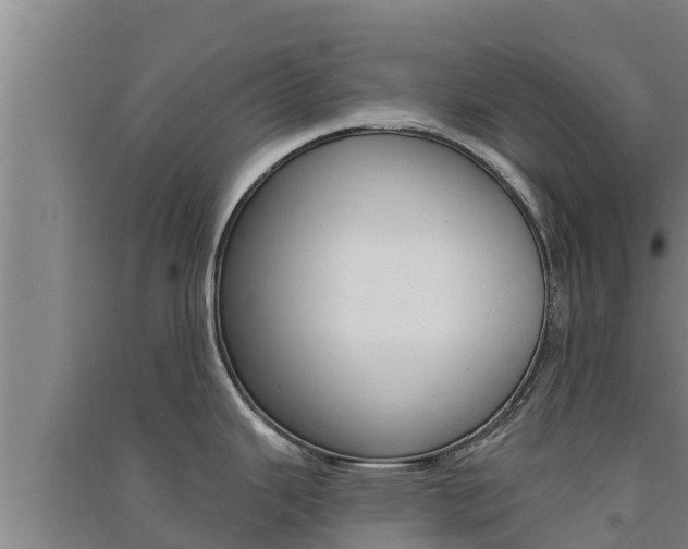 X0000091561343200708171053