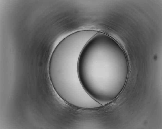 X0000091561344200708171053