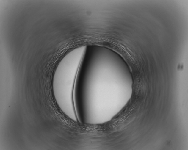 X0000091561345200708171053