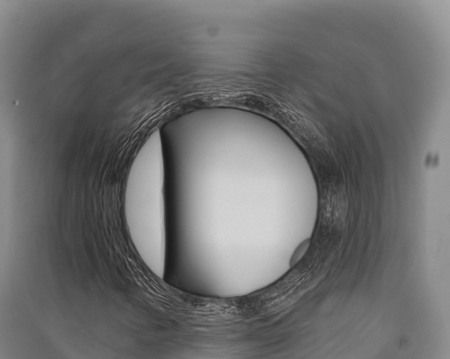 X0000091561346200708171053