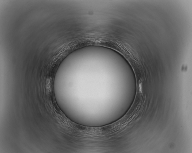 X0000091561347200708171053