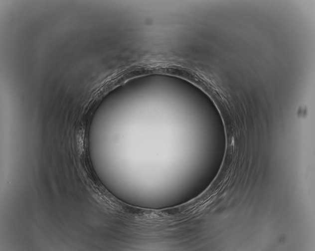 X0000091561348200708171053