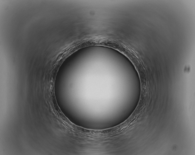 X0000091561349200708171053
