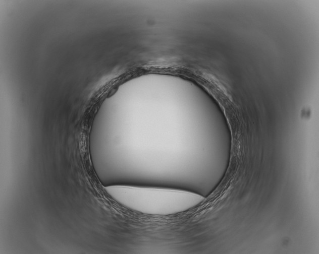 X0000091561350200708171052