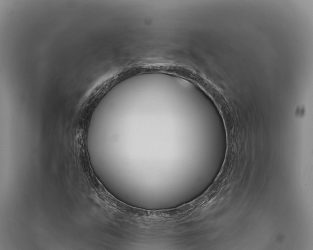 X0000091561351200708171052