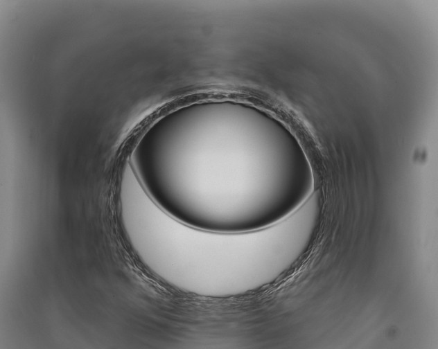 X0000091561352200708171052