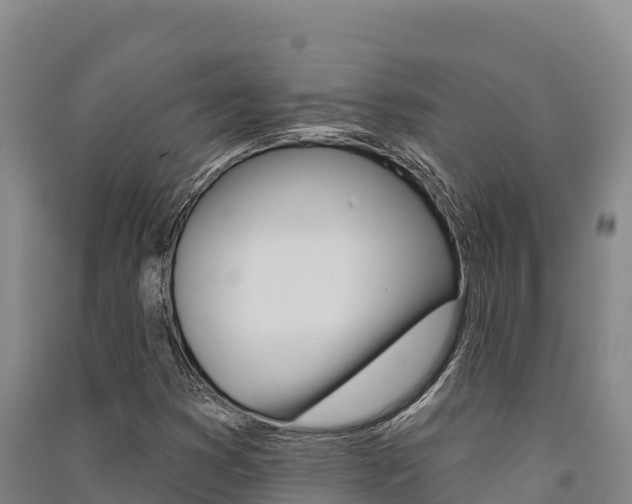 X0000091561353200708171052