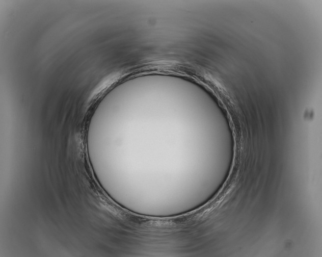 X0000091561354200708171052