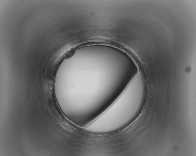 X0000091561355200708171052