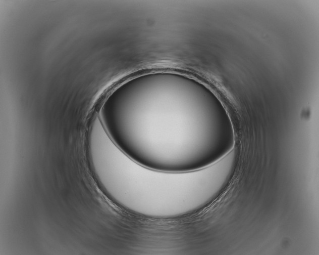 X0000091561356200708171052