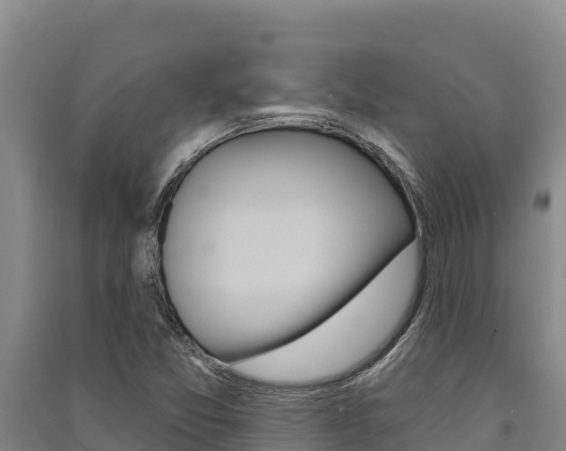 X0000091561357200708171052