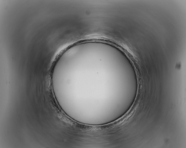 X0000091561358200708171052