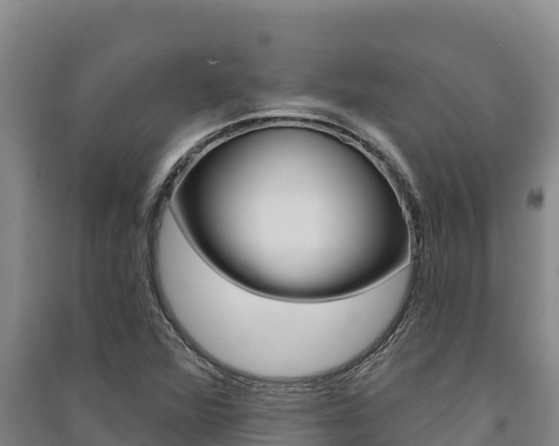 X0000091561360200708171052